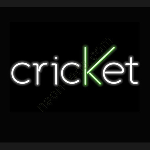 Criket neon sign WL-221111